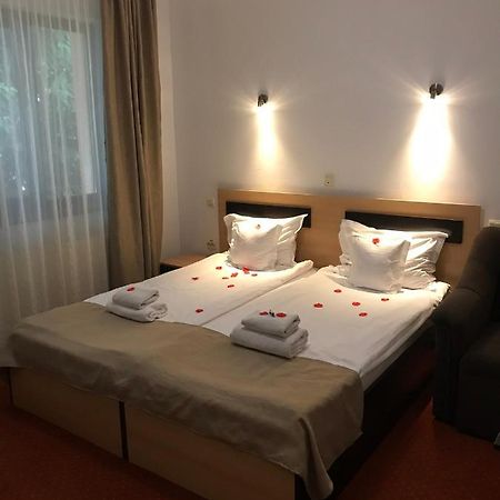 Flora Alpina Hotel Azuga Luaran gambar