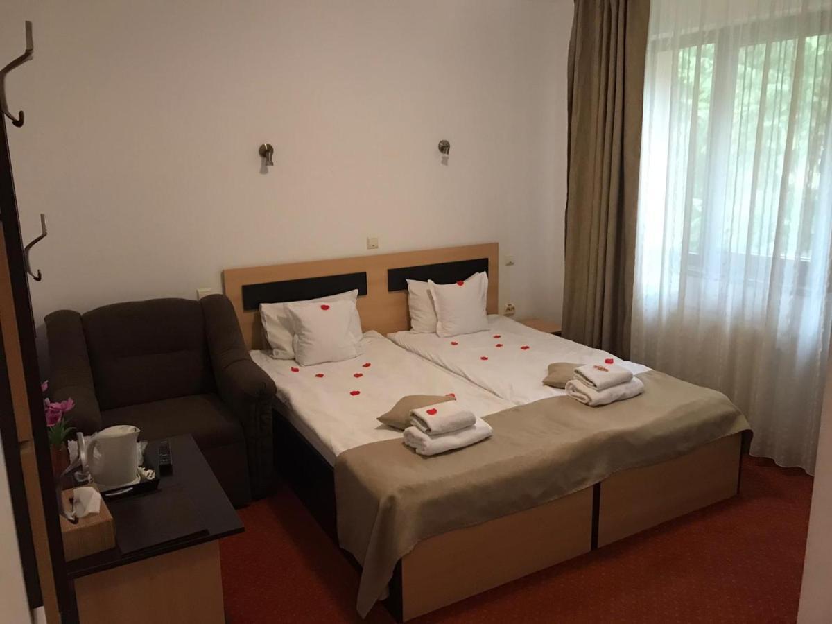 Flora Alpina Hotel Azuga Luaran gambar